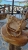 1000054452.jpg